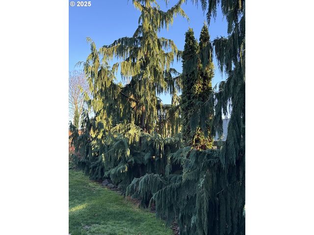 403 Ne HOLIDAY Ave, Dallas, OR 97338