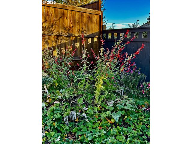 403 Ne HOLIDAY Ave, Dallas, OR 97338