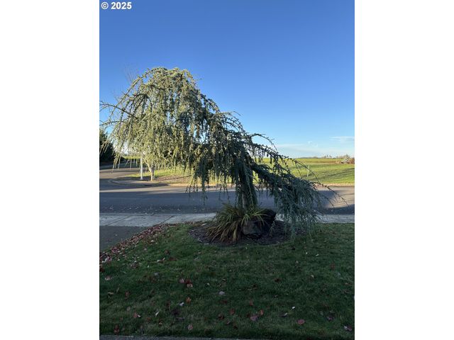 403 Ne HOLIDAY Ave, Dallas, OR 97338