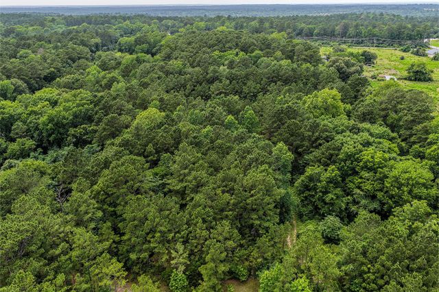 145 Tall Timbers Lane, Huntsville, TX 77340