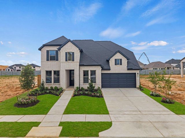 16514 Jolly Dawn Drive, Hockley, TX 77447