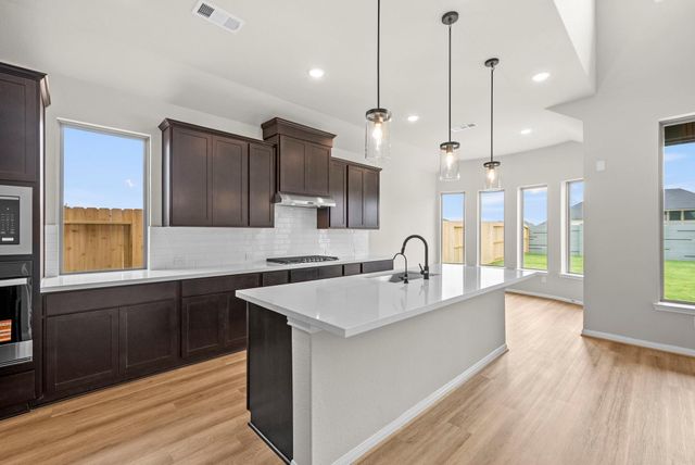 16514 Jolly Dawn Drive, Hockley, TX 77447