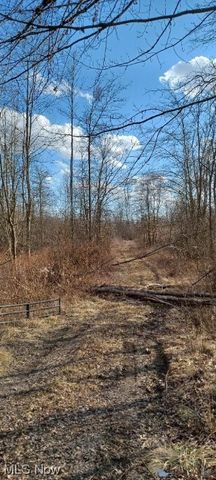 VL Risher Road, Warren, OH 44481