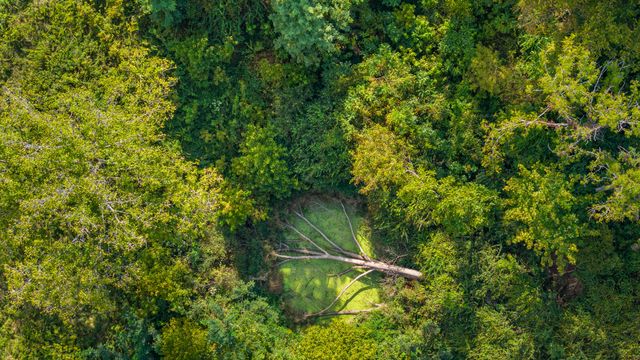 1996 White Conkwright, Winchester, KY 40391