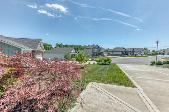 199 Tanners Cove, Johnson City, TN 37615