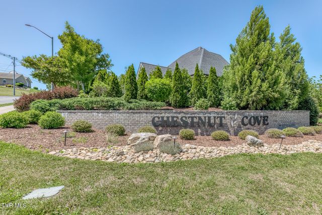 199 Tanners Cove, Johnson City, TN 37615
