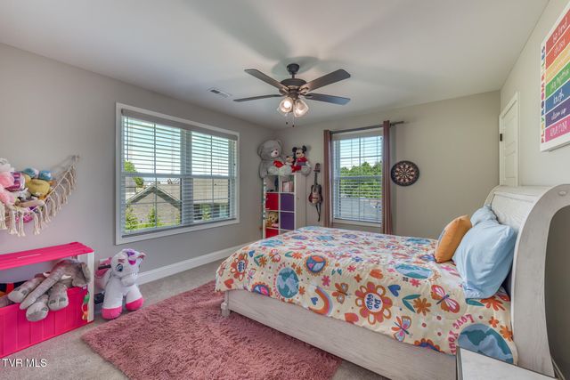 199 Tanners Cove, Johnson City, TN 37615