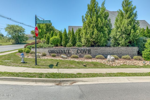 199 Tanners Cove, Johnson City, TN 37615