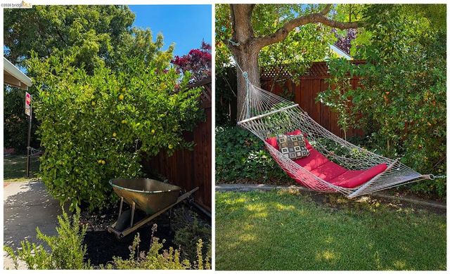 1235 Larch Ave, Moraga, CA 94556