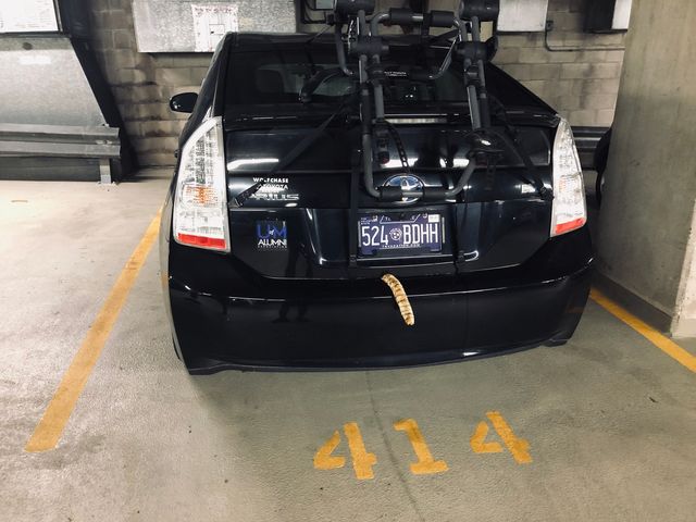 211 E Ohio Street 1102, Chicago, IL 60611