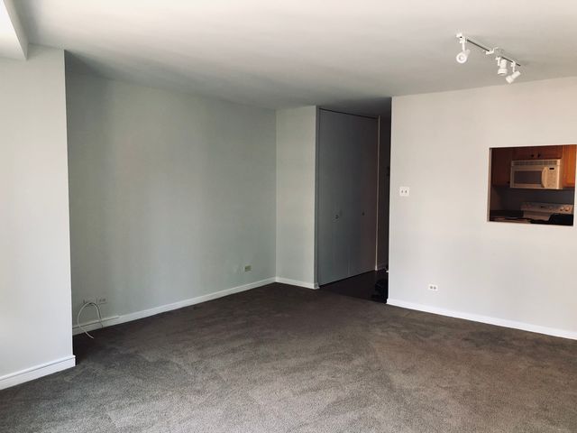 211 E Ohio Street 1102, Chicago, IL 60611