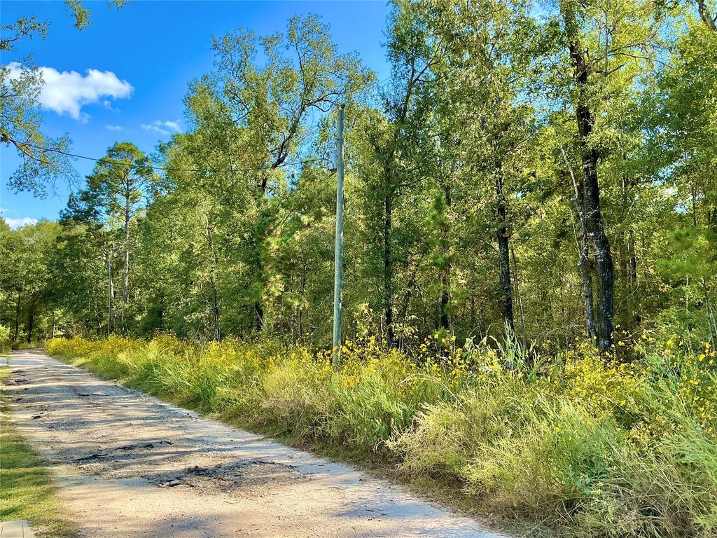 TBA Wendy Way Way, Livingston, TX 77351