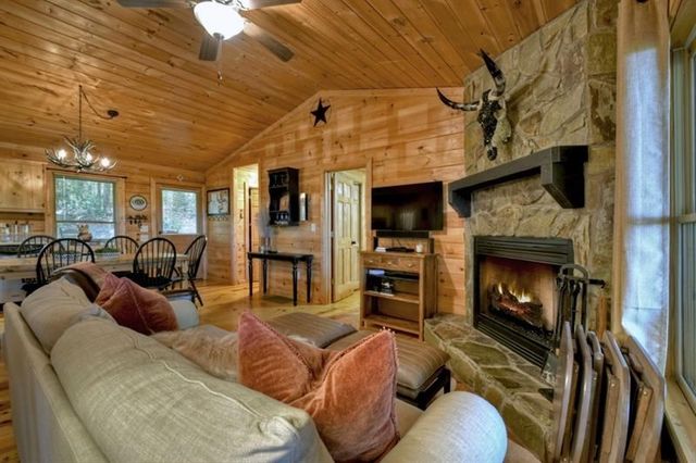 9 Joanna Court, Cherry Log, GA 30522