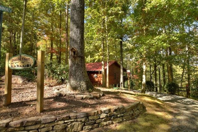 9 Joanna Court, Cherry Log, GA 30522