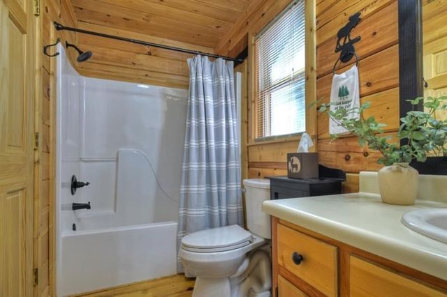 9 Joanna Court, Cherry Log, GA 30522