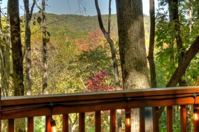 9 Joanna Court, Cherry Log, GA 30522