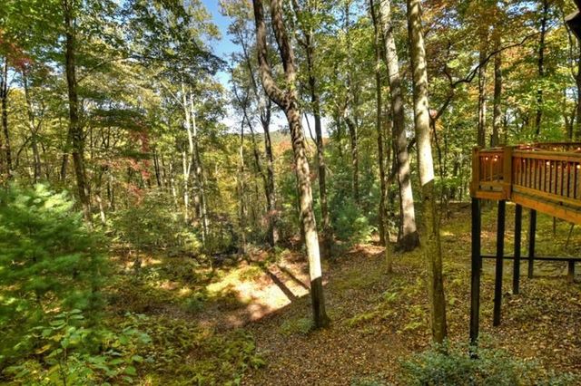 9 Joanna Court, Cherry Log, GA 30522