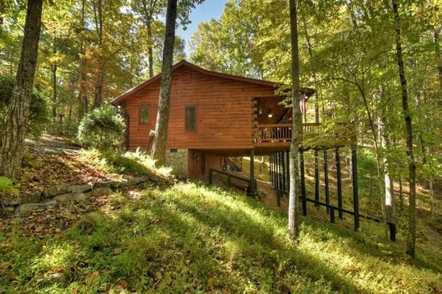 9 Joanna Court, Cherry Log, GA 30522