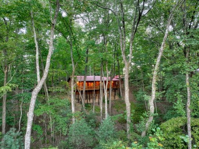 9 Joanna Court, Cherry Log, GA 30522