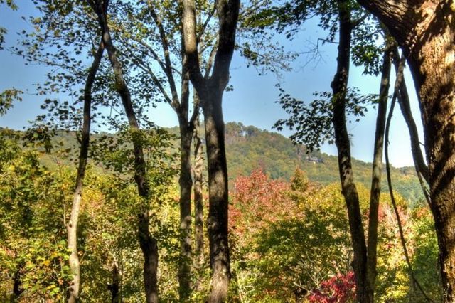 9 Joanna Court, Cherry Log, GA 30522