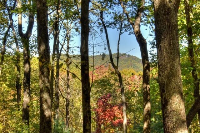 9 Joanna Court, Cherry Log, GA 30522