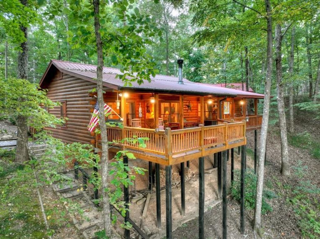 9 Joanna Court, Cherry Log, GA 30522
