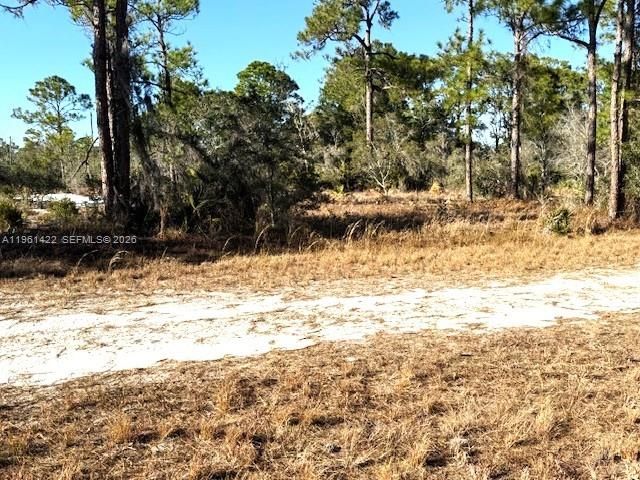 547 Branchwood Ave, Other City - In The State Of Florida, FL 33852