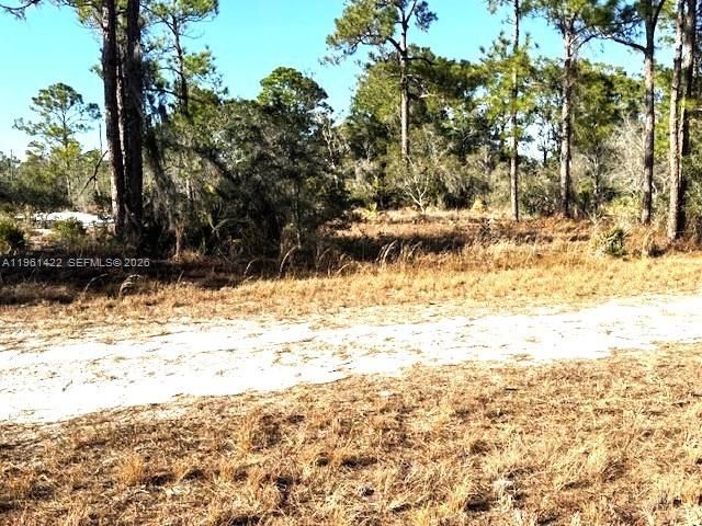 547 Branchwood Ave, Other City - In The State Of Florida, FL 33852