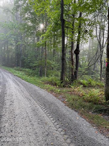 342 Dickinson Hill Road, Bolton, NY 12824