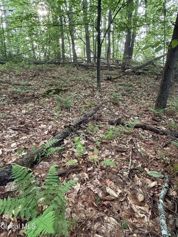 342 Dickinson Hill Road, Bolton, NY 12824