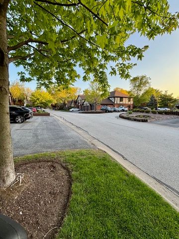 11151 Cottonwood Drive 19C, Palos Hills, IL 60465