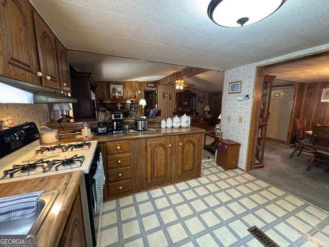 451 Weldon Lake Road, Milner, GA 30257