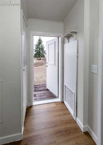 12565 Richardson Lane, Peyton, CO 80831