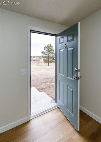 12565 Richardson Lane, Peyton, CO 80831