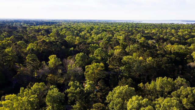 211 Woodstock, Livingston, TX 77351