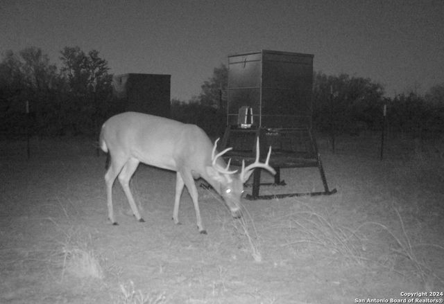 1526 Sandy Road, Big Wells, TX 78830