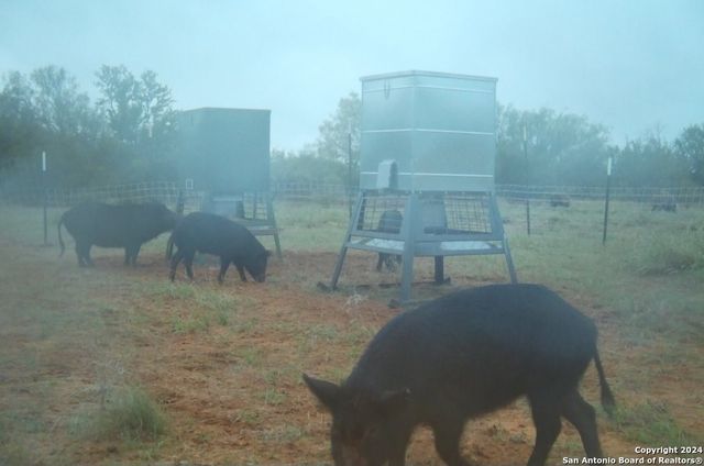 1526 Sandy Road, Big Wells, TX 78830