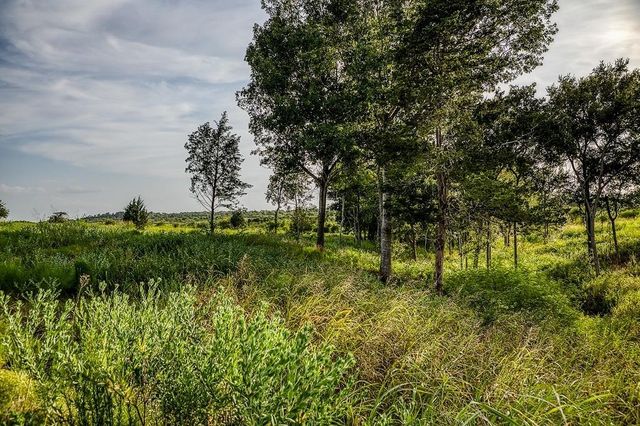 Lot 10 Hargrove Lane, Washington, TX 77880