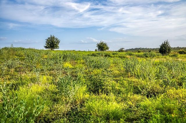 Lot 10 Hargrove Lane, Washington, TX 77880