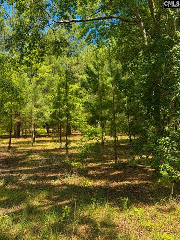 174 Chevy Lane, Orangeburg, SC 29115