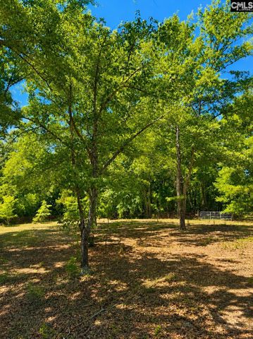 174 Chevy Lane, Orangeburg, SC 29115