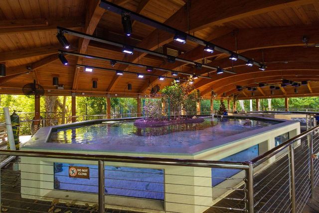 299 SW 7th Street 1040, Boca Raton, FL 33432