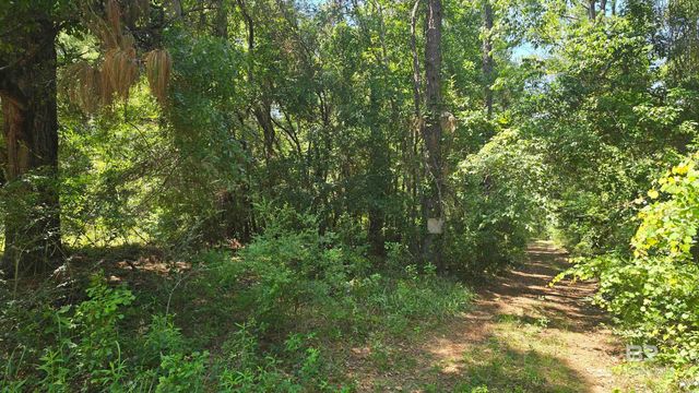 0 Toler Road, Silverhill, AL 36576