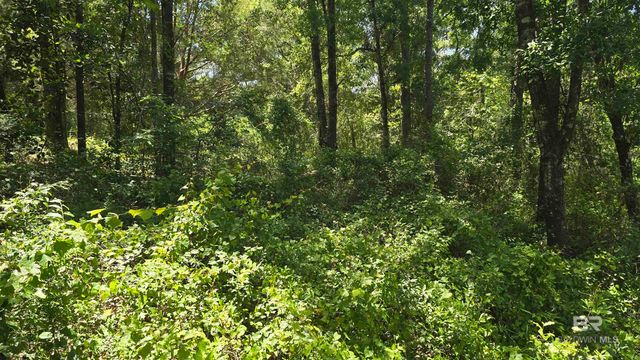 0 Toler Road, Silverhill, AL 36576