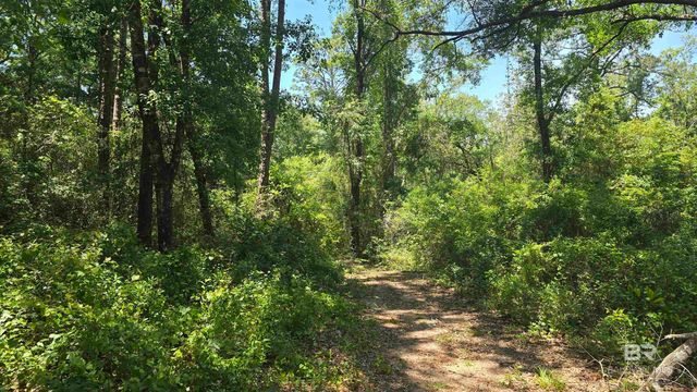 0 Toler Road, Silverhill, AL 36576