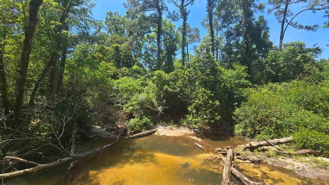 0 Toler Road, Silverhill, AL 36576