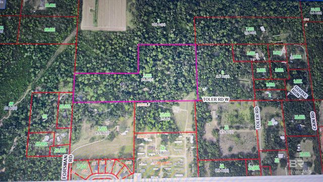 0 Toler Road, Silverhill, AL 36576