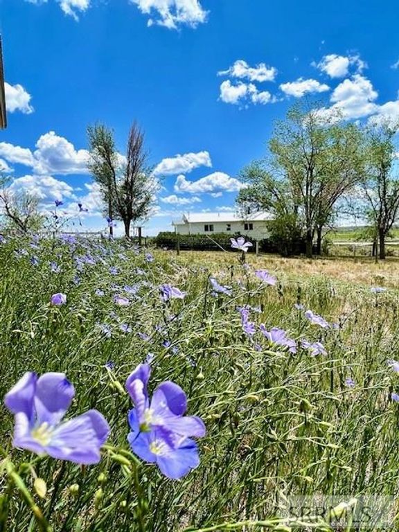 Image 22 of property listing at 2628 Highway 93, Arco, ID 83213