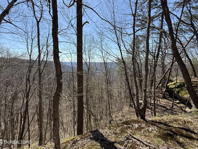 0 Cumberland Cove Rd, Monterey, TN 38574