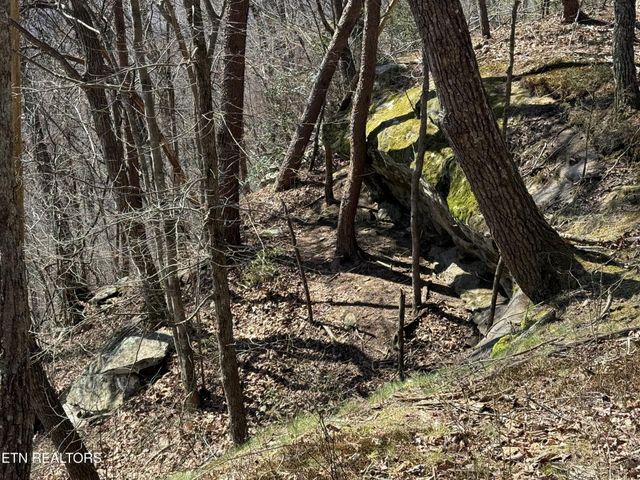 0 Cumberland Cove Rd, Monterey, TN 38574